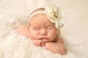 newborn naked baby neutral classic stephanie greenwell photography southeast missouri photographer