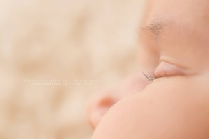 newborn naked baby neutral classic stephanie greenwell photography southeast missouri photographer