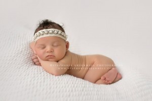 newborn girl cream backdrop stephanie greenwell southeast missouri photographer