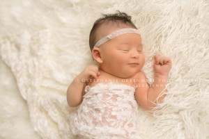 newborn girl cream backdrop stephanie greenwell southeast missouri photographer